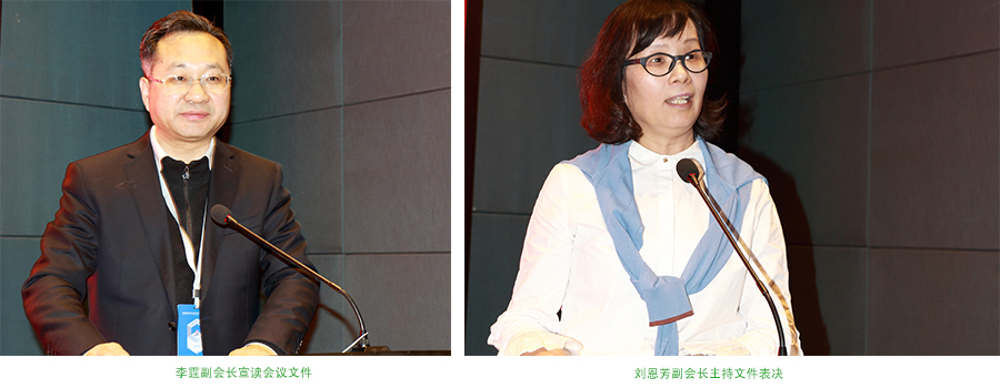 李刘发言-2.jpg