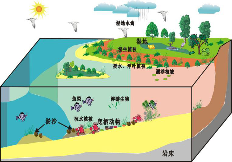 微信图片_20200609164109.png