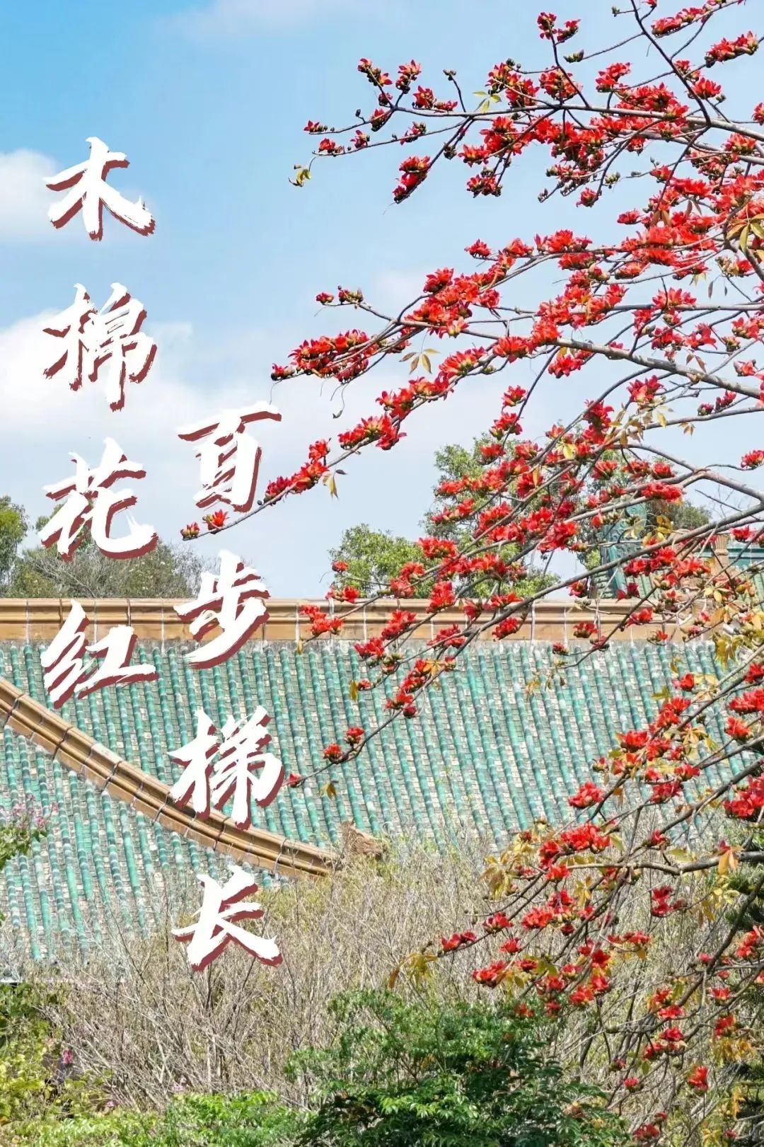 微信图片_20221117163801.jpg