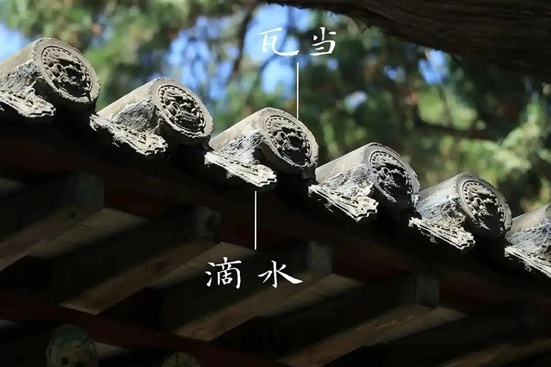 微信图片_20250612103527.jpg 微信图片_20250612103527.jpg